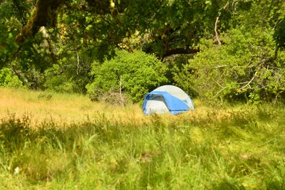 DSC_6811 (Large).JPG